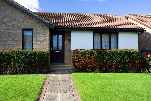 Each dream lawn can be mixed with a little care